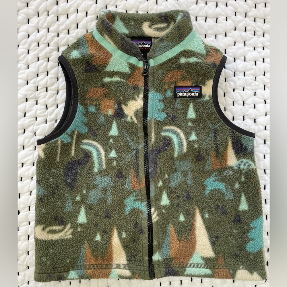 Patagonia Baby Synchilla Fleece Vest, 2T